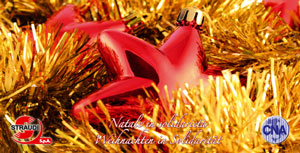 Natale-2010-A.jpg