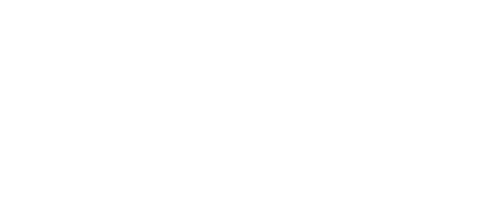 Straudi Logo Footer